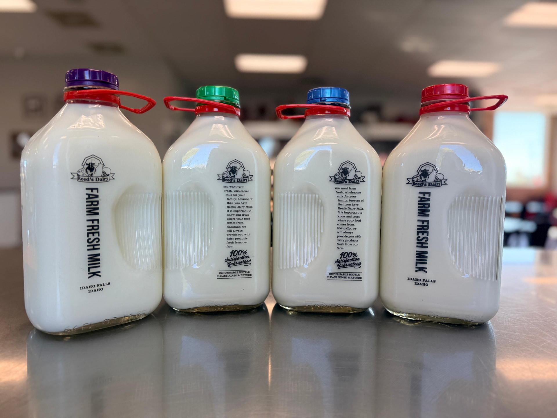 Glass bottles of Reed's Dairy fresh milk lined up on a counter